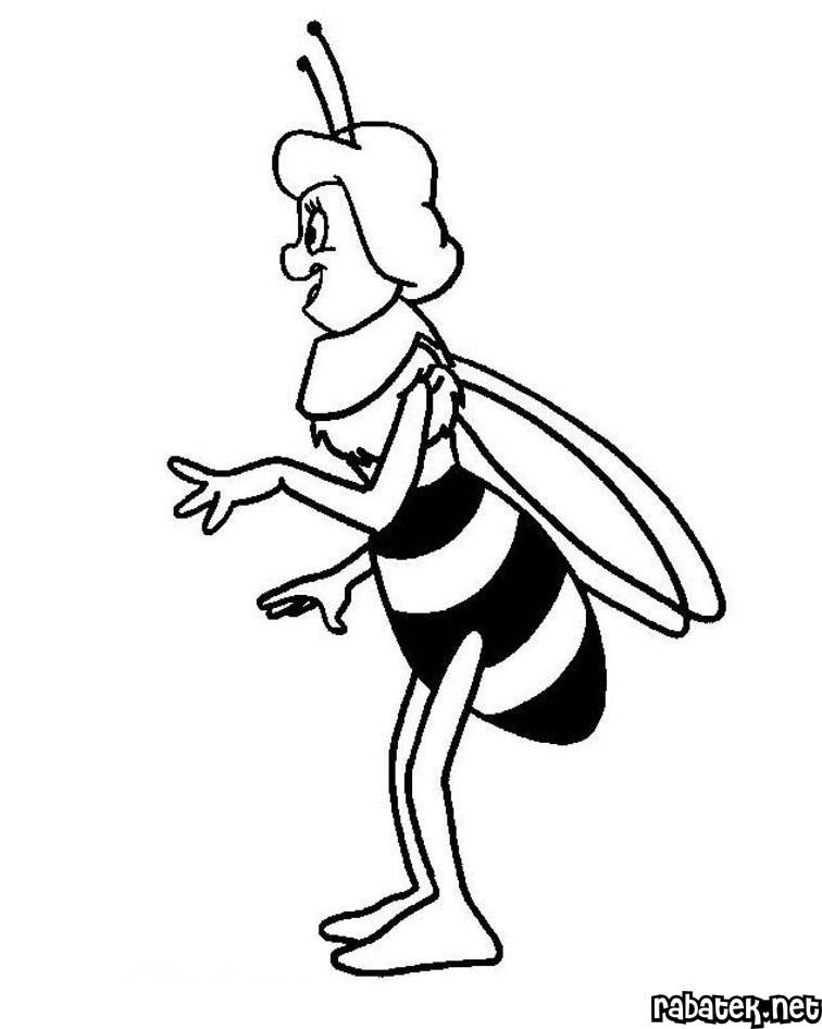 Maya The Bee
 Coloring Pages. Free Printable Coloring Book For Kids