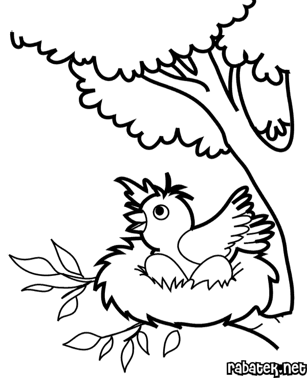 Trees Coloring Pages Free Printable Coloring Book For Kids Png